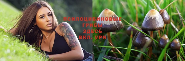героин Алзамай