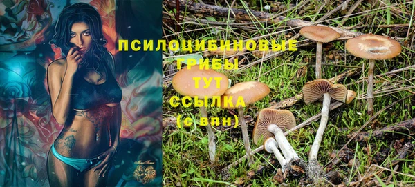 бошки Алексин