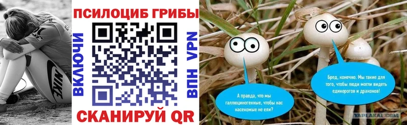 Псилоцибиновые грибы Psilocybe  Ачхой-Мартан 